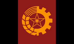 FLSR Flag.png